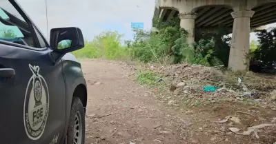 Sinaloa
