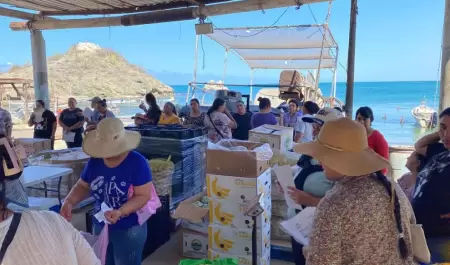 Banco de Alimentos