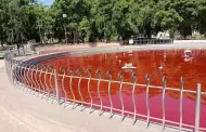 VIDEO Fuente del Parque Madero amanece teida de rojo