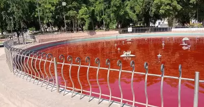 Fuente del Parque Madero