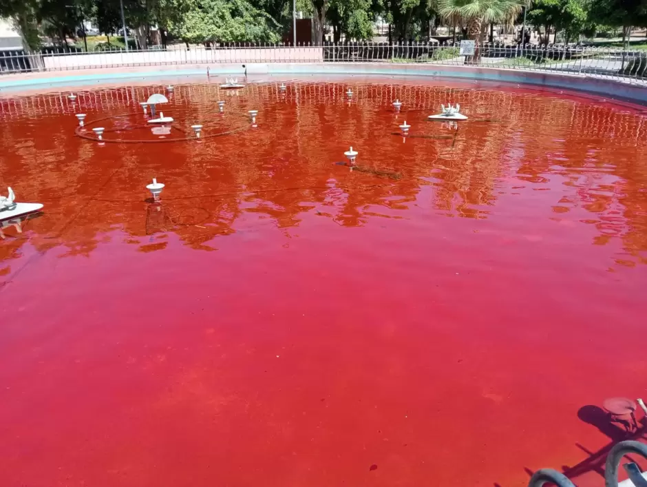 Fuente del Parque Madero