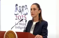 Denunciar por difamacin al abogado de Ovidio Guzmn, anuncia Sheinbaum