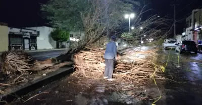 Afectaciones por la lluvia y el viento