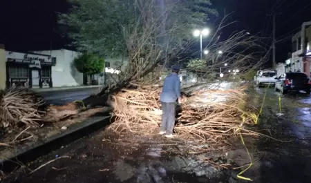 Afectaciones por la lluvia y el viento