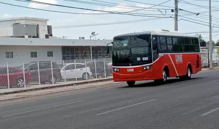 Transporte pblico