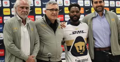 Pumas