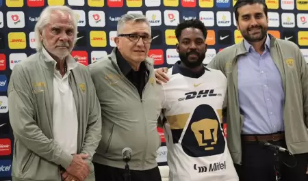 Pumas