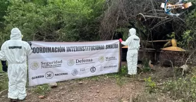 Narcolaboratorio en Culiacn