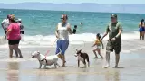 Bahía de Kino