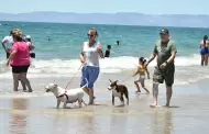 Baha de Kino garantiza seguridad y diversin estas vacaciones