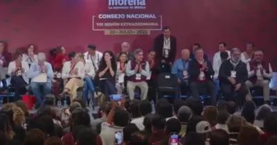 Consejo Nacional de Morena
