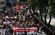 Presidenta condena actos vandlicos en segunda marcha contra la gentrificacin