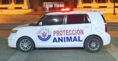 Rescate Animal Hermosillo