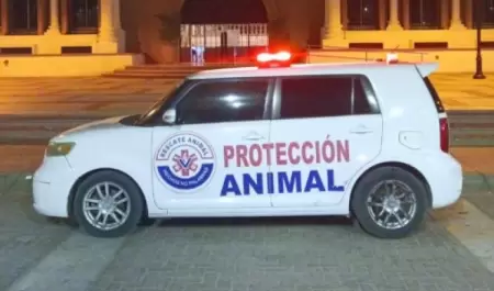 Rescate Animal Hermosillo