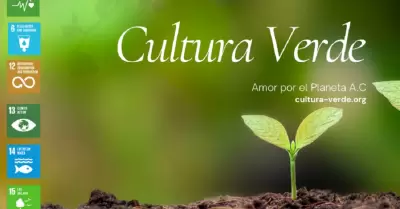 Cultura Verde