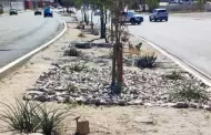Caminantes del Desierto lanza peticin para construccin de corredores verdes