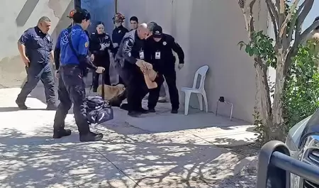 Hombre se encierra en vivienda de Camino Real