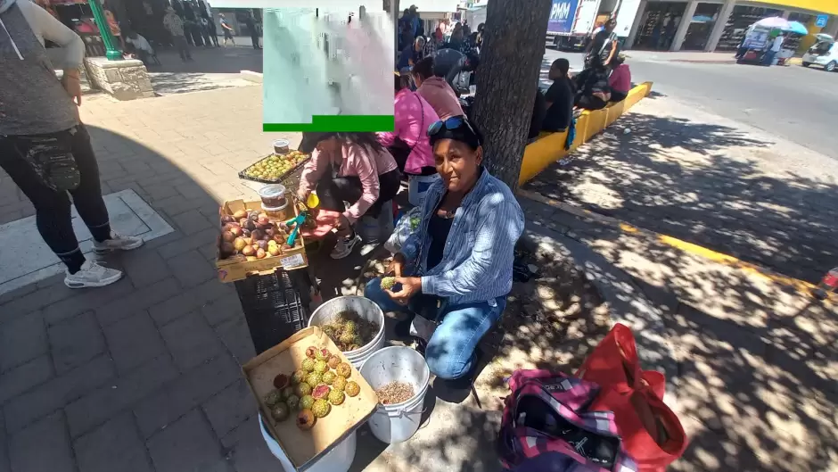 Venta de pitahayas