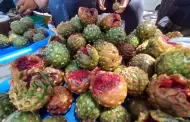 Ya casi concluye temporada de venta de pitahayas en Hermosillo