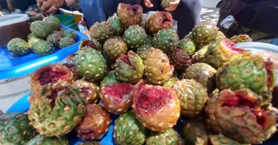 Venta de pitahayas