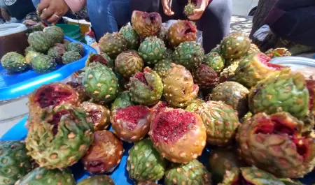Venta de pitahayas
