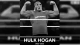 Hulk Hogan