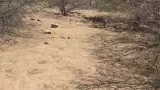 Buscadoras por la Paz