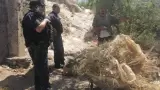 Operativos de la Policía Preventiva de Hermosillo