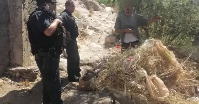 Operativos de la Policía Preventiva de Hermosillo