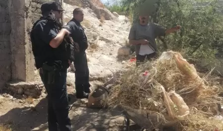 Operativos de la Polica Preventiva de Hermosillo