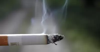cigarrillo, fumar, tabaco, cigarro, prohibición de fumar, fumador