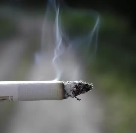 cigarrillo, fumar, tabaco, cigarro, prohibici�n de fumar, fumador