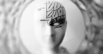 cerebro
