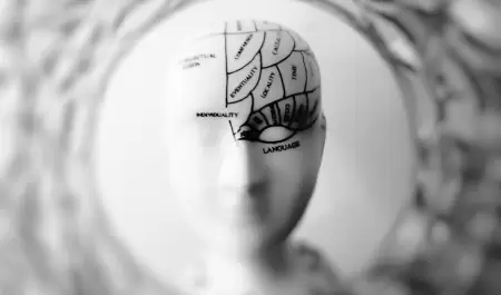cerebro