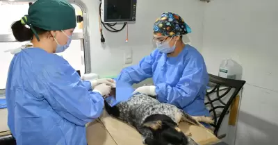 Esterilizaciones