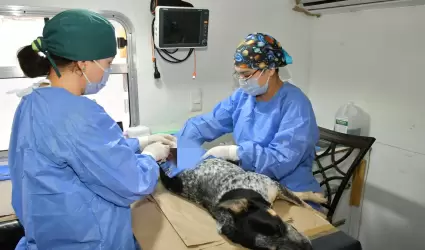Esterilizaciones