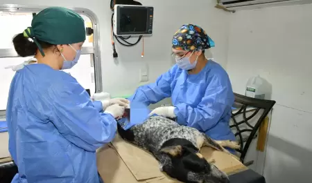 Esterilizaciones