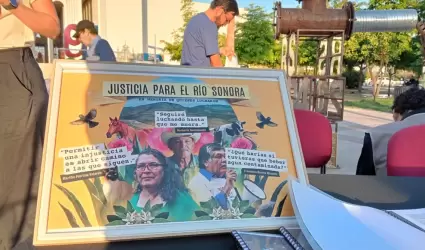 Comit de Cuencas del Ro Sonora.