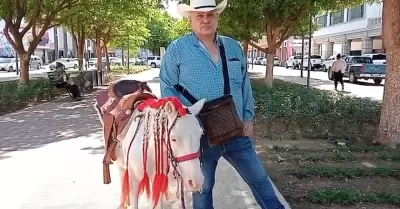 Paseos en poni