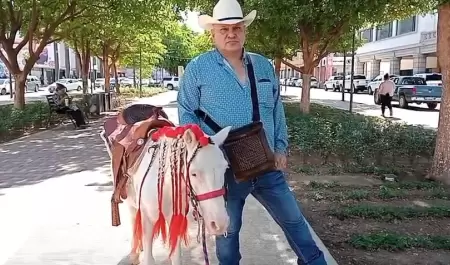 Paseos en poni