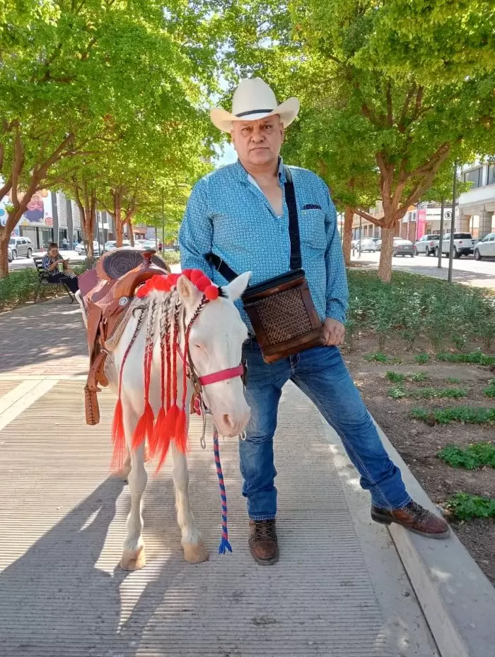 Paseos en poni