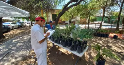 Vivero municipal