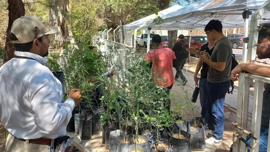 Vivero Municipal