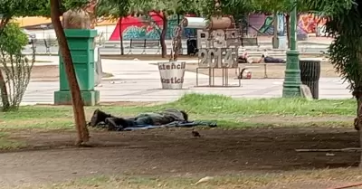 Calor Sonora
