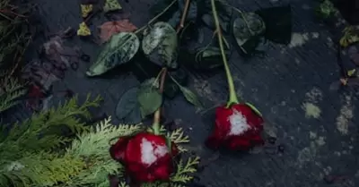 cementerio