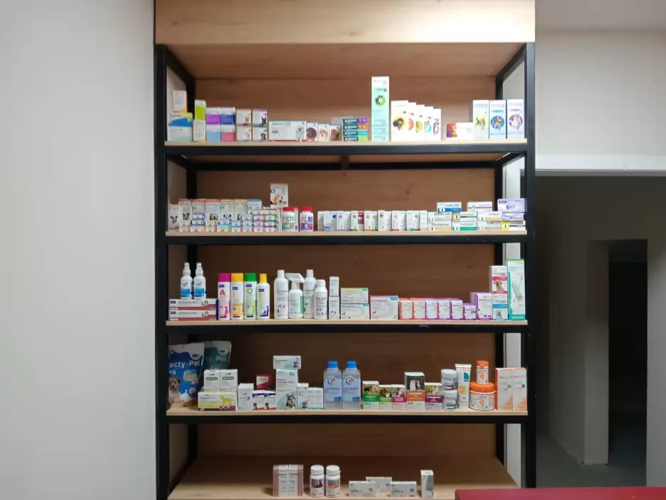 Hospital de Alta Especialidad de Veterinarias Borges