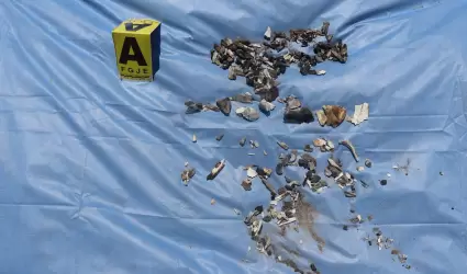 Fragmentos de huesos calcinados