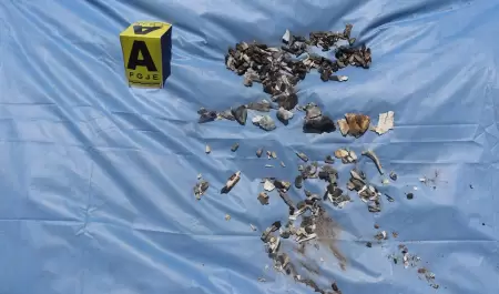 Fragmentos de huesos calcinados