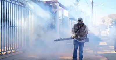 Acciones preventivas contra dengue, zika y chikungunya