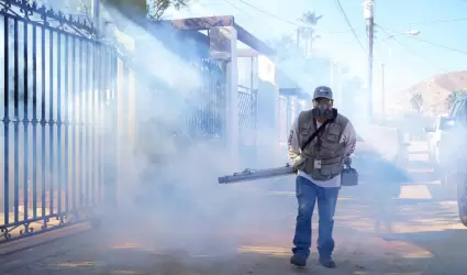 Acciones preventivas contra dengue, zika y chikungunya